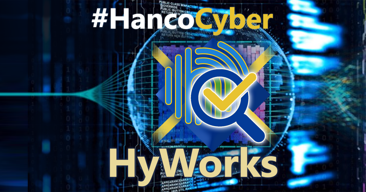 HyWorks by Accops este una dintre soluțiile noastre de top de securitate cibernetică!